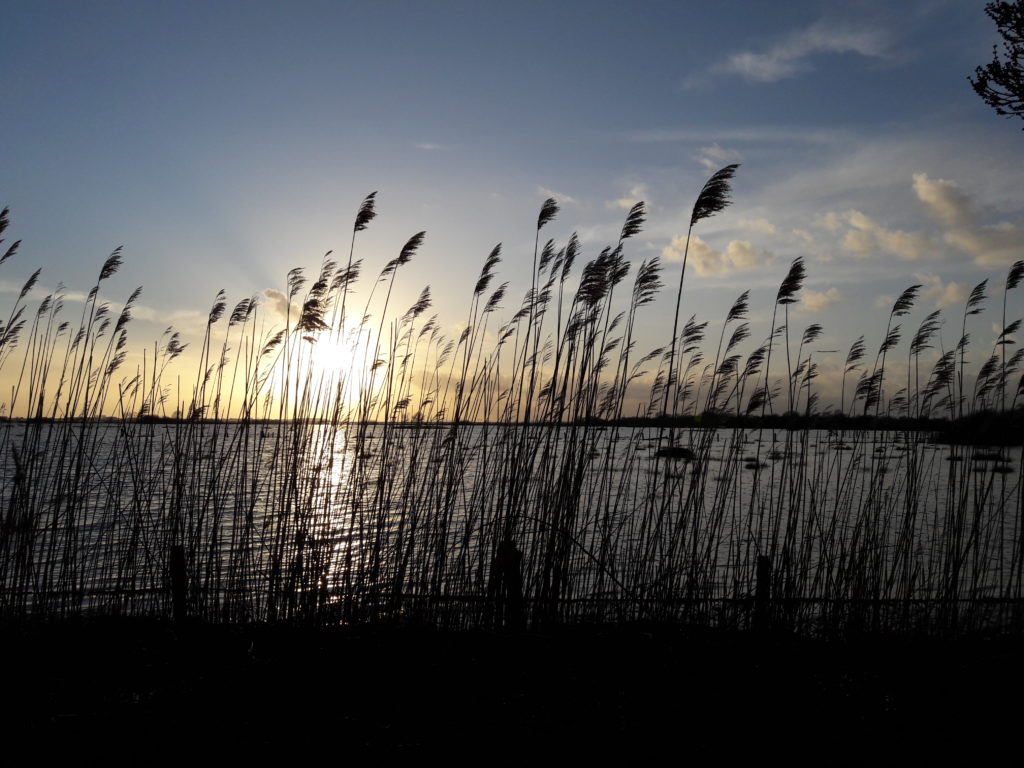 Sophrologie et coaching à Savenay. Les transitions de vie, ces périodes de changement où nous avons parfois besoin d'être accompagné. Gestion du stress, des émotions, sommeil, burn-out.