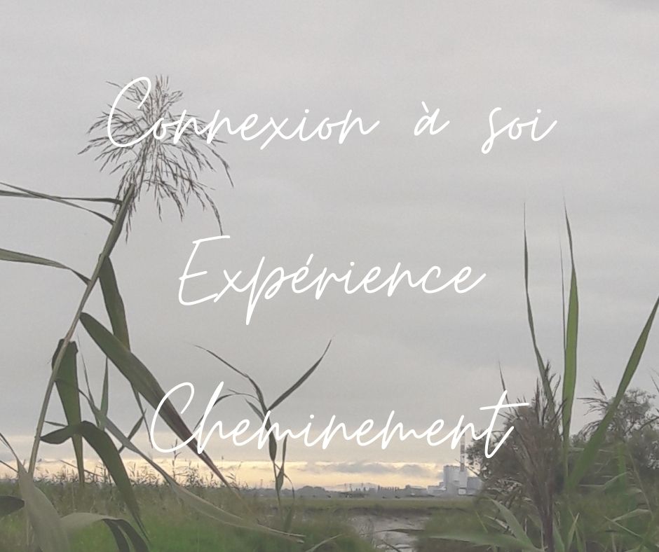Sophro-balade : une expérience de sophrologie dans la nature et les marais de Lavau-sur-Loire. Karine Agnez - Sophrologie Coaching - Savenay