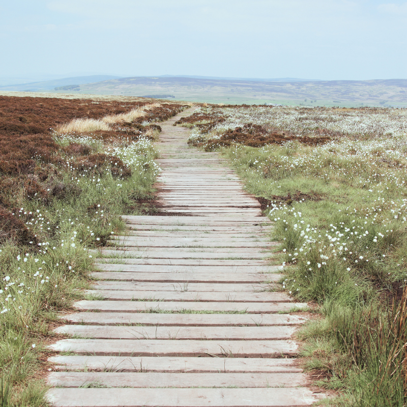 Accompagnement et thérapie brève. Sophrologue, hypnothérapeute, je vous accompagne à passer des caps difficiles dans votre vie.
Vous reconstruire après le Burn-out - Réduire votre Stress et votre anxiété - Réguler vos Émotions - Traverser des Périodes difficiles (séparation, deuil...) - Prévenir l'Épuisement professionnel - Vous sentir plus à l'aise au travail, dans vos relations...
Formée à plusieurs approches et outils de thérapie brève : Praticienne en Hypnose Ericksonienne et en sophrologie, coach PNL, initiée à la psychotraumatologie et à la désensibilisation des traumatismes par stimulations bilatérales (inspiré de l'EMDR), particuliers, je vous accueille dans mon cabinet à Savenay.